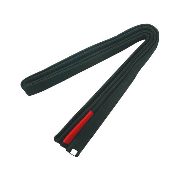 BJJ Black Belt 4 Red Sleeve